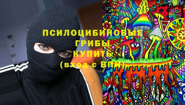 гашик Зеленодольск