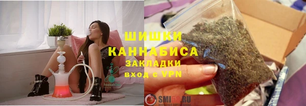 индика Заволжск