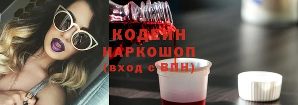 индика Заволжск
