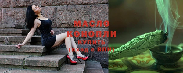индика Заволжск