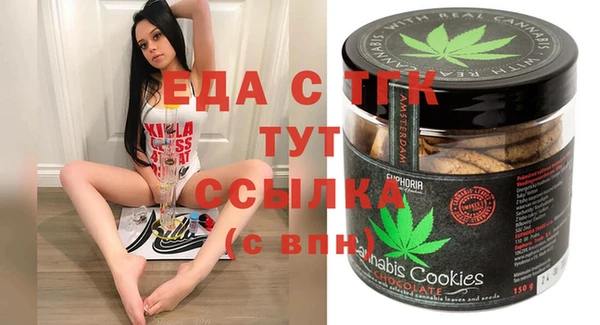 индика Заволжск