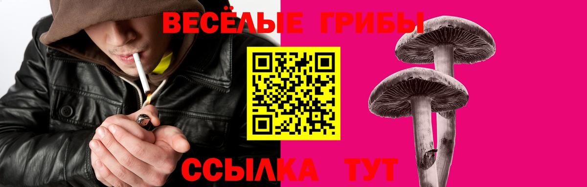 Псилоцибиновые грибы MAGIC MUSHROOMS  Вход с VPN  Спасск-Дальний 